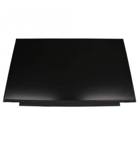 B156HTN08.1 LCD INVERTER 28 CM PORTABLE SCREEN